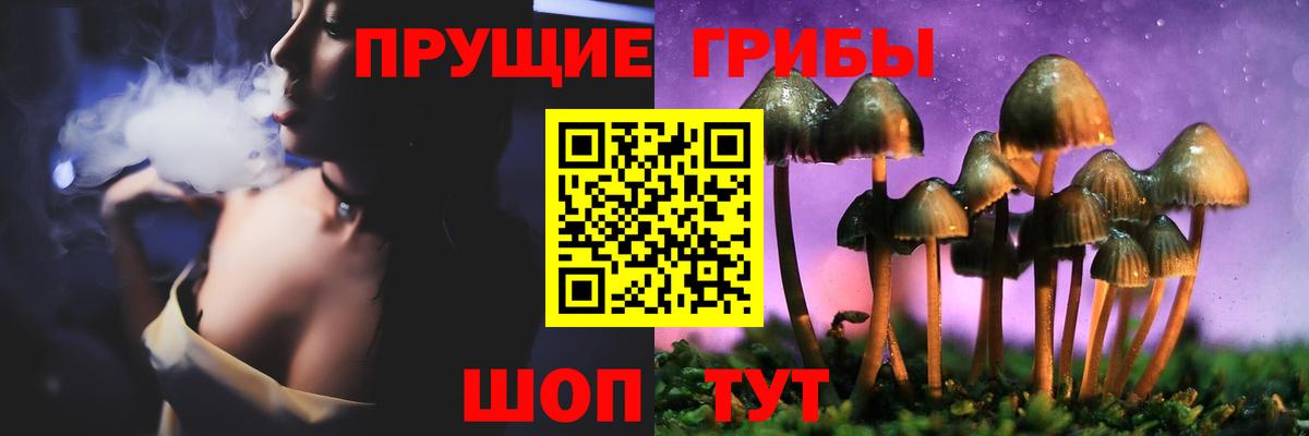 Галлюциногенные грибы прущие грибы Майкоп